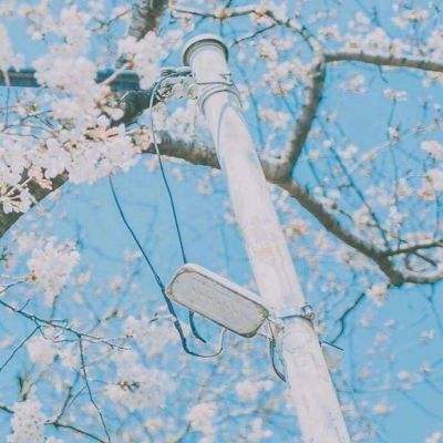 am8亚美ag旗舰厅官网